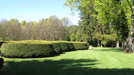 Enlarge photo 5