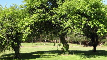 Enlarge photo 12