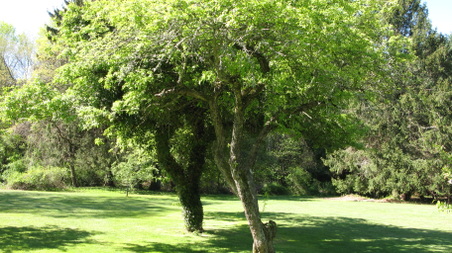 Enlarge photo 13
