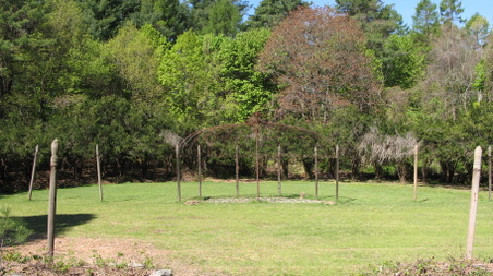 Enlarge photo 16
