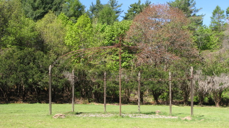 Enlarge photo 17