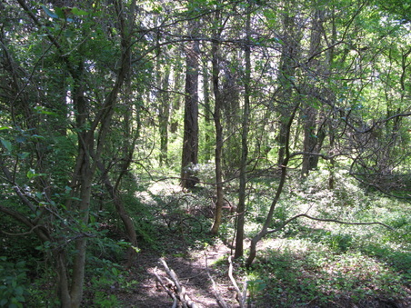 Enlarge photo 19