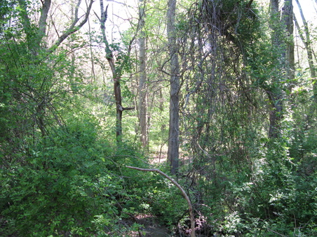 Enlarge photo 20