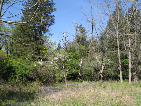 Enlarge photo 23