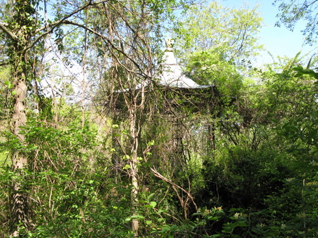 Enlarge photo 24