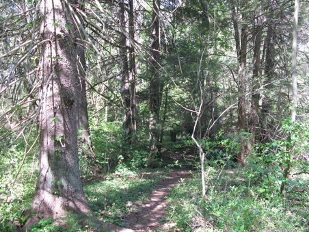 Enlarge photo 28
