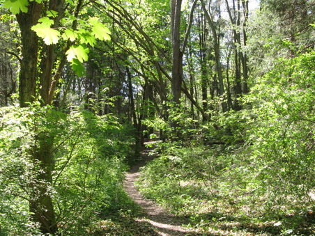Enlarge photo 29