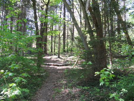 Enlarge photo 30