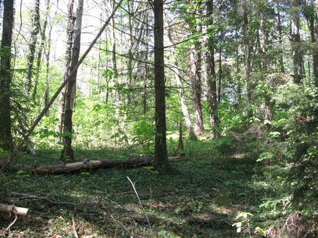 Enlarge photo 31