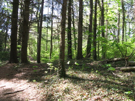 Enlarge photo 33