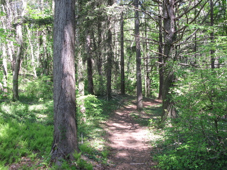 Enlarge photo 32