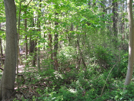 Enlarge photo 34