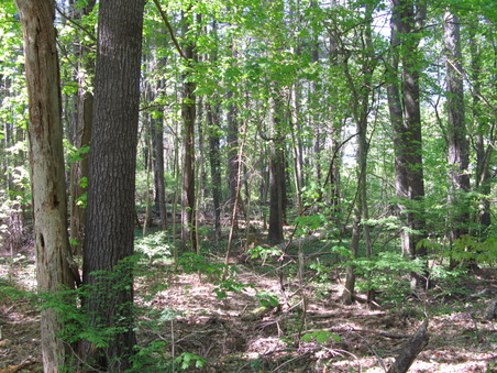 Enlarge photo 35
