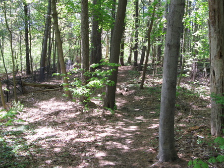 Enlarge photo 36