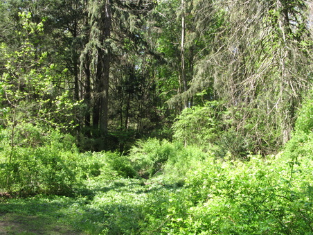 Enlarge photo 37