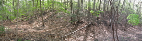 Enlarge photo 15