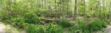 Enlarge photo 13