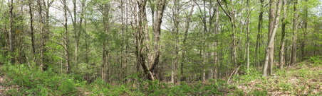 Enlarge photo 12