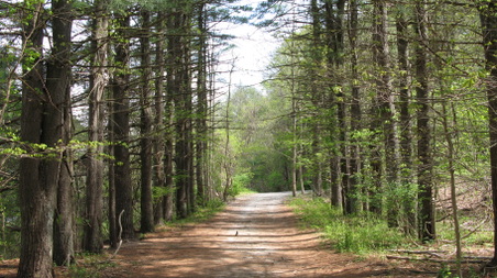Enlarge photo 8