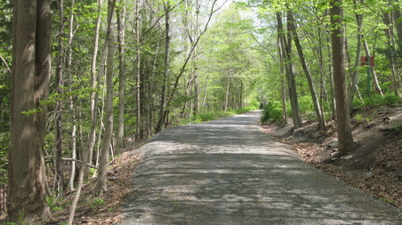 Enlarge photo 23
