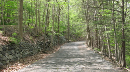 Enlarge photo 24