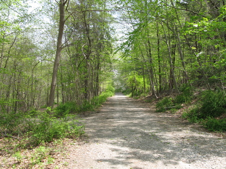Enlarge photo 25