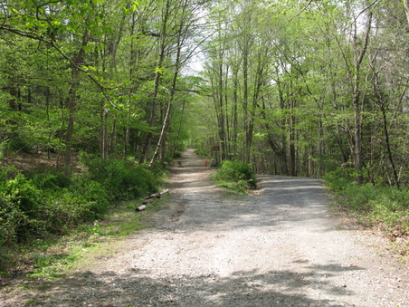 Enlarge photo 26