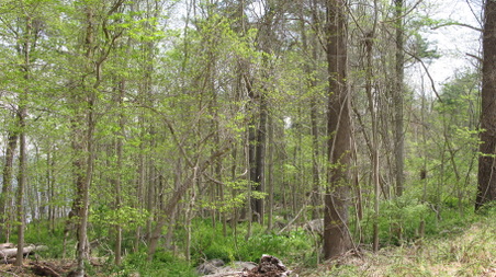 Enlarge photo 27