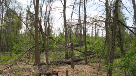 Enlarge photo 28