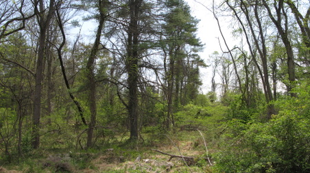 Enlarge photo 29