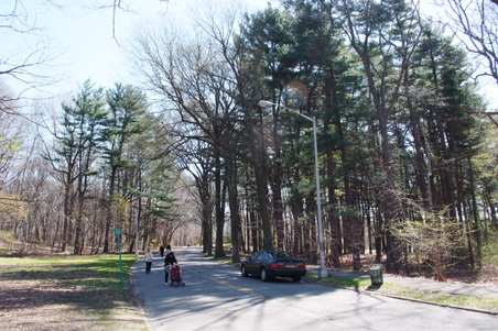 Forest Park