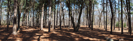 Enlarge photo 11
