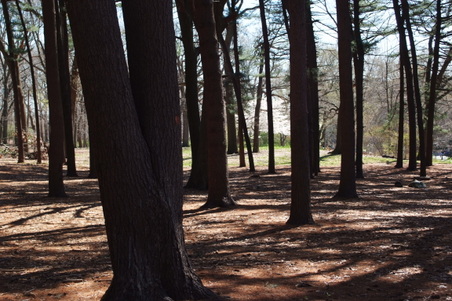 Enlarge photo 13