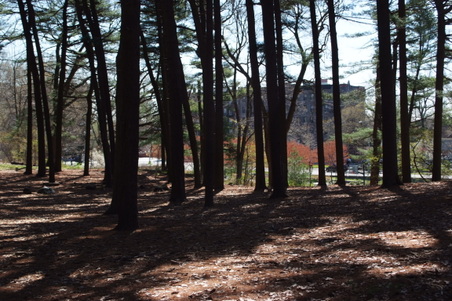 Enlarge photo 14