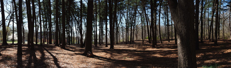 Enlarge photo 15
