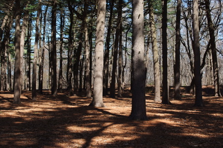 Enlarge photo 16