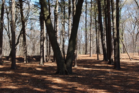 Enlarge photo 17