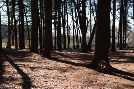 Enlarge photo 19