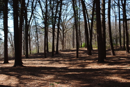 Enlarge photo 20