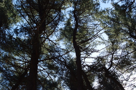 Enlarge photo 21