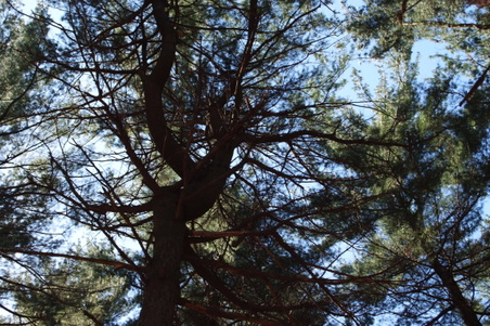 Enlarge photo 22