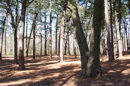 Enlarge photo 26