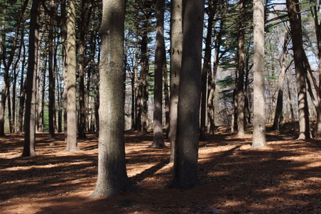 Enlarge photo 27