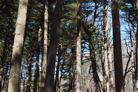 Enlarge photo 28