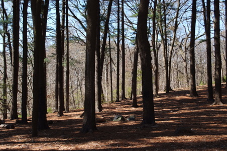 Enlarge photo 29