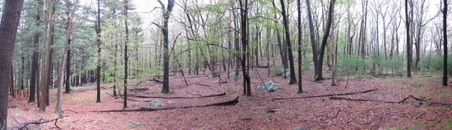 Enlarge photo 62