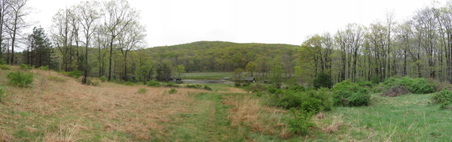 Enlarge photo 15