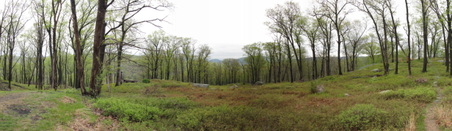 Enlarge photo 22