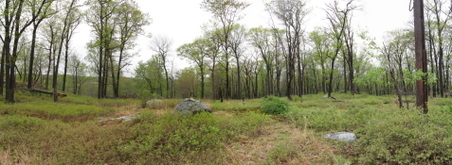 Enlarge photo 21
