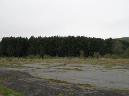 Enlarge photo 37
